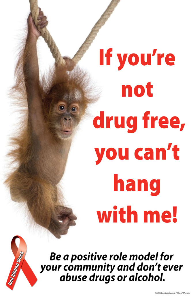 Drug free monkey